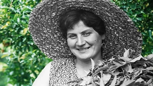 Тля дуреет с этой прикормки: забытый советский лайфхак, который уничтожит паразитов на раз-два