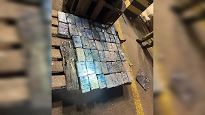 В Петербурге задержали партию кокаина на полмиллиарда рублей