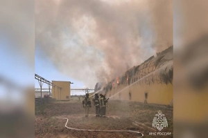 Более 166 тысяч кур сгорели при пожаре в инкубаторе птицефабрики под Астраханью