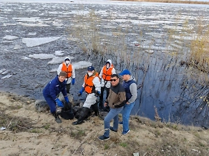 Минэкологии Якутии сообщило о разливе нефтепродуктов на реке Лене