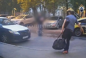 Россиянин порубил приятеля и развёз его останки в сумках по разным районам Москвы