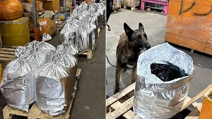 Под видом одежды в Россию пытались провезти более тонны сырья для метадона