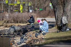 Мать из Липецкой области заставляла дочь убить собаку на камеру