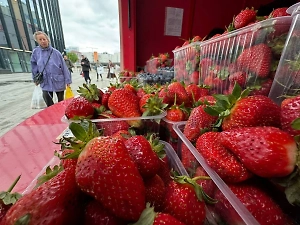 В каком месяце клубника будет стоить меньше 1000 рублей: прогноз эксперта