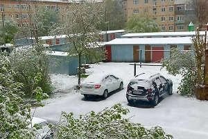 Вот такой нынче Первомай: Подмосковье накрыло снегом