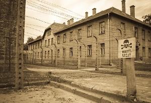 Депутат предложил «клеймить» всех нацистов специальной маркировкой