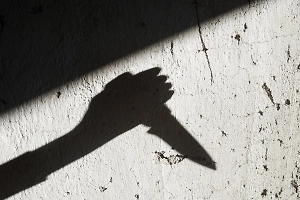 «Работа психопата»: Убивший мать и сестру в Бельгии украинский подросток расправился ещё и собакой