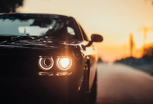 В Польше призвали остановить беспредел на дорогах от машин с украинскими номерами