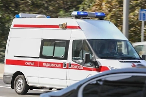 На Урале женщина потехи ради натравила бойцовских собак на избитого мужчину