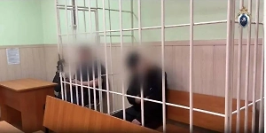 На Сахалине арестован мужчина, переехавший насмерть человека на автомобиле