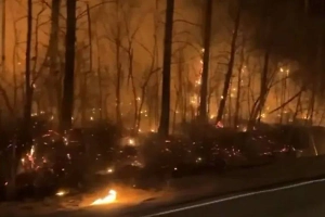 Российская трасса превратилась в ад из-за масштабного лесного пожара — видео