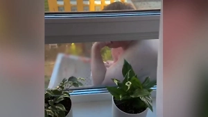 В Подмосковье голый «Карлсон» вылетел в окно и приземлился в соседской корзине для кондиционера