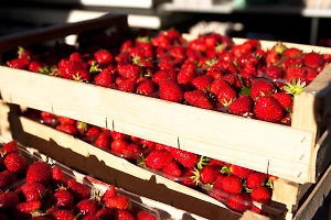 Сухая, гладкая, упругая: В Роскачестве рассказали Life.ru, как выбрать самую вкусную клубнику