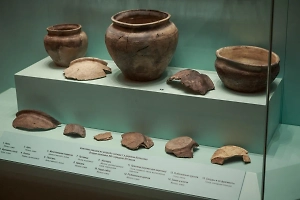 Археологи обнаружили на Куликовом поле уникальный артефакт