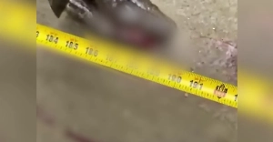 В Пуэрто-Рико пятиметровая змея проглотила домашнюю собаку