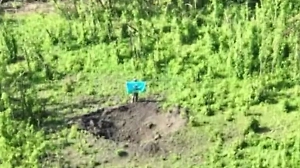 Минобороны опубликовало видео сдачи в плен солдат ВСУ в Сумской области