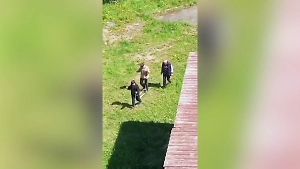 В Перми матёрый физрук заставил прогульщиков сдавать зачёт по лыжам на траве