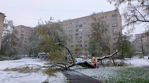 Бригады МЧС в Подмосковье ликвидируют последствия снегопада