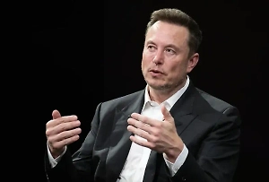 Маск заявил о радикальной атаке на демократию в ФРГ из-за возможного запрета АдГ