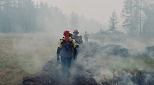 Площадь лесных пожаров в Бурятии превысила 24 тысячи га