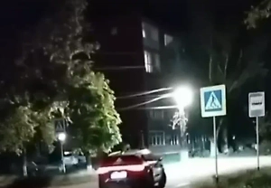 Распевающих гимн в машине голых россиянок разыскивает полиция