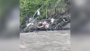 Душераздирающие кадры: В Дагестане отец девятый день ищет упавшего в реку 4-летнего сына 