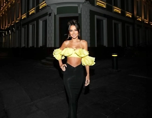 Находящаяся под домашним арестом Лерчек пожаловалась на страх остаться без денег