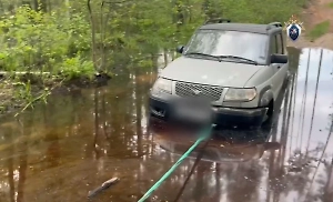 Тела четырёх мужчин нашли в застрявшей в болоте машине под Нижним Новгородом