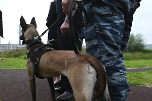 Обвиняемого в кражах на 33 млн рублей колумбийца депортировали в Россию