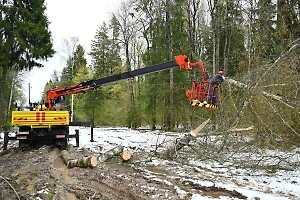 «Крупнейшие отключения»: Названы сроки восстановления электроснабжения в Подмосковье