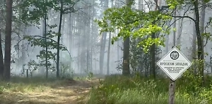 Губернатор Артамонов: Пожар в Липецкой области охватил 300 га, введён режим ЧС