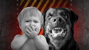 Топ-5 самых опасных для дома пород собак, которые могут напасть на ребёнка без предупреждения