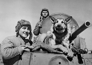 Кошки, голуби и даже лошади: Как животные спасали людям жизни во время блокады Ленинграда