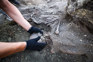 На Украине нашли останки почти полусотни жертв Волынской резни