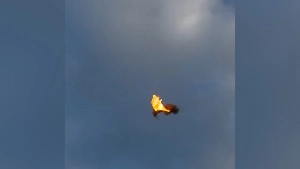 «Красавцы»: Life.ru публикует момент уничтожения одного из двух БПЛА над Подмосковьем