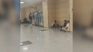 Пассажиры в ожидании: Украинские БПЛА парализовали работу Внуково и Домодедово