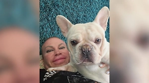 Банкротство спасло треш-блогера Шпака* от штрафов