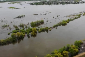 В Тюменской области уровень воды в реке Ишим вырос на полметра за сутки
