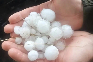 Град-убийца перебил коров в Оренбуржье после мощного смерча — видео