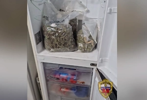 Полиция обнаружила более 600 камней с коноплёй у «геолога» из Подмосковья