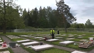 Пансионат для ветеранов седла: В Царском Селе откроется лошадиный некрополь