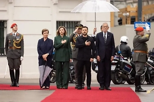 Зеленский попросил Австрию выслать бывших украинских чиновников и олигархов