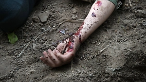 В лесах под Курском найдены разлагающиеся тела бойцов ВСУ, брошенных сослуживцами