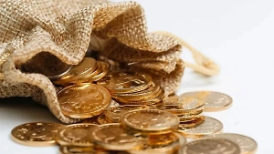 Во Франции нотариус нашёл в стене золотые монеты на 297 млн рублей