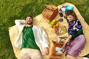 Россия вошла в тройку стран мира с самым низким «индексом пикника»