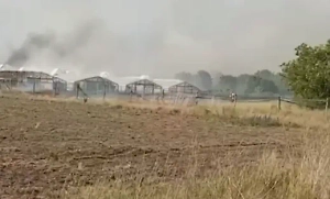 «От злобного бессилия»: В Херсонской области ВСУ атакуют поля и теплицы