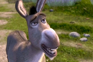 В конгрессе США назвали Владимира Зеленского «надменным ослом»