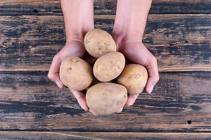 Глава ФАС сообщил о вероятном снижении цен на картофель летом