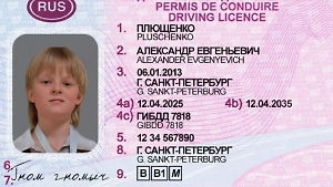 В России вырос спрос на фейковые права — теперь они есть даже у 12-летнего Гном Гномыча
