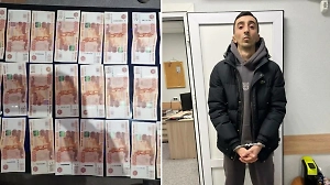 В Петербурге будут судить пособников украинских мошенников, укравших почти 15 млн рублей